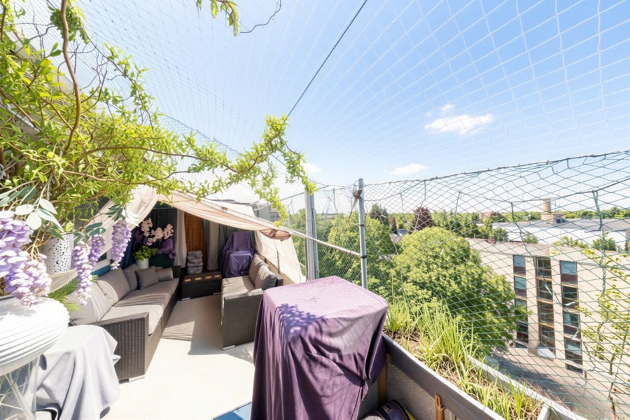 Nord-Dachterrasse